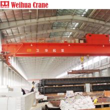 WEIHUA Insulation Overhead Crane